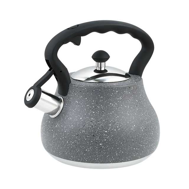 Daily Home Use Product Stainless Steel Tea Whistle Kettle Induction