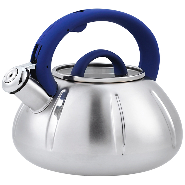 Stainless Steel Whistling Kettle 