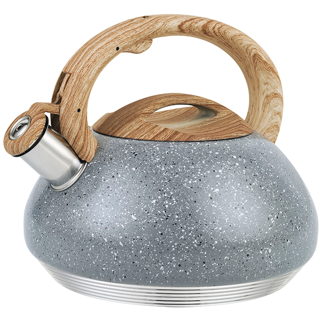 Stainless Steel Whistling Kettle 