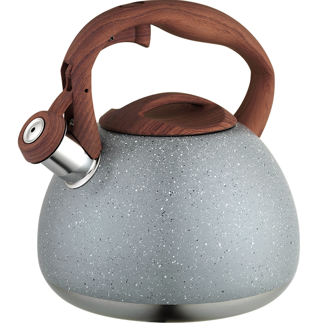 Stainless Steel Whistling Kettle 