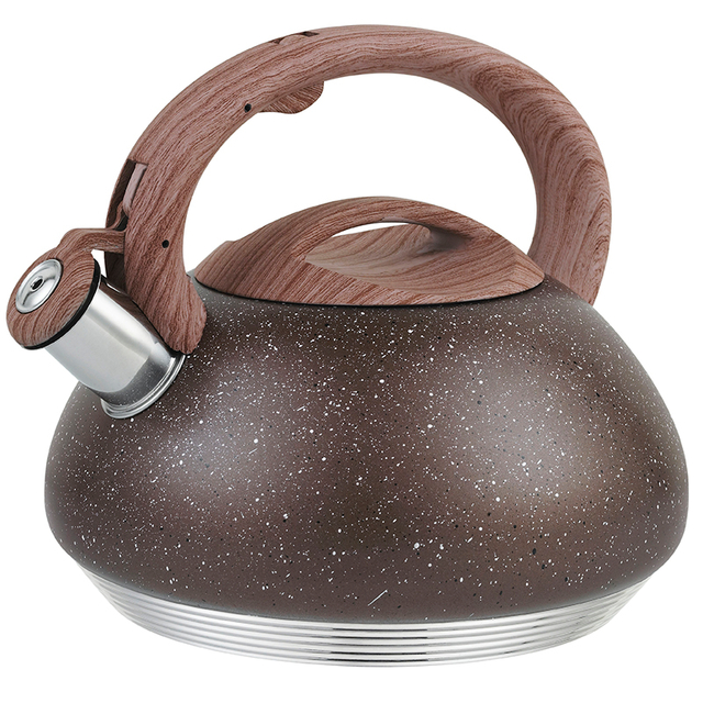 Stainless Steel Whistling Kettle 