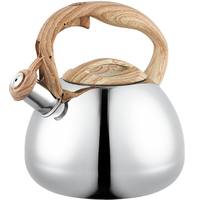 Stainless Steel Whistling Kettle 