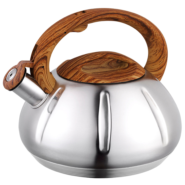 Stainless Steel Whistling Kettle 