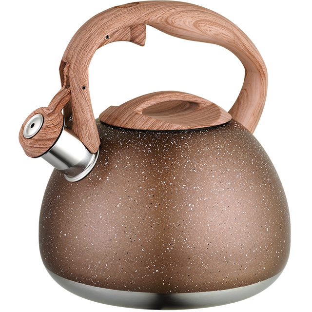 Stainless Steel Whistling Kettle 