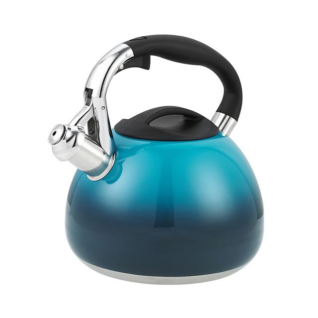 2020 Best Sale Stainless Steel Whistling Kettle Water Kettle With Lid Guangdong