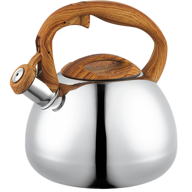 Stainless Steel Whistling Kettle 