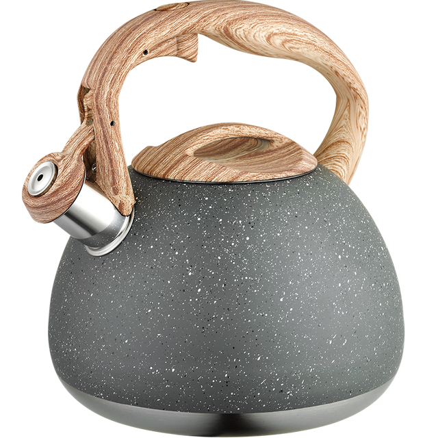 Stainless Steel Whistling Kettle 