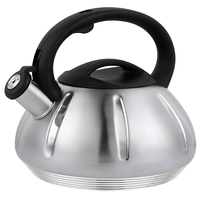 Stainless Steel Whistling Kettle 