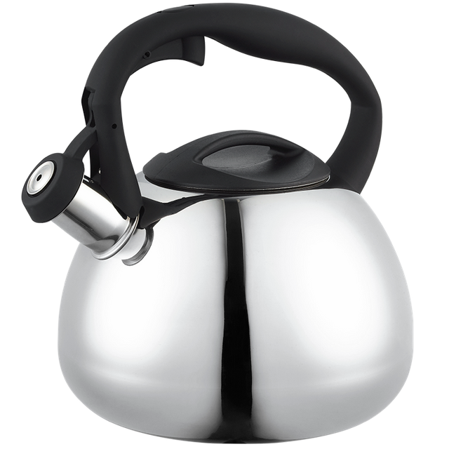 Stainless Steel Whistling Kettle 
